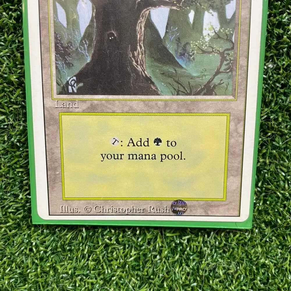 MTG Forest Christopher Rush Art Vintage Basic Land Magic Card LP